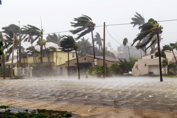 Hurricane Preparation  in South Florida from Public Adjusters